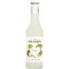 Monin Sirup Cocos 250ML -Gourmet Verkauf monin sirup kokosnuss 025l
